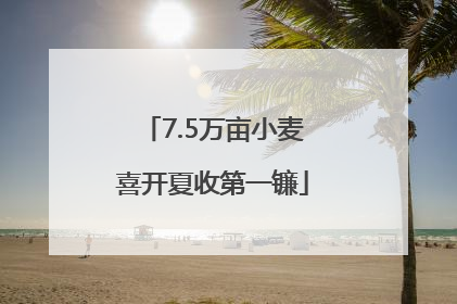 7.5万亩小麦喜开夏收第一镰