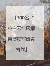700名“小白云”闪耀南博续写青春答卷