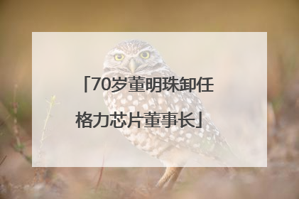 70岁董明珠卸任格力芯片董事长