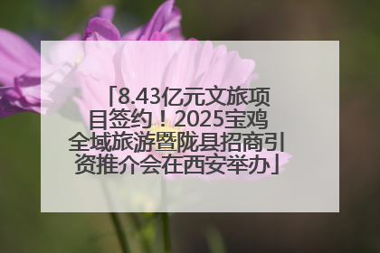 8.43亿元文旅项目签约！2025宝鸡全域旅游暨陇县招商引资推介会在西安举办