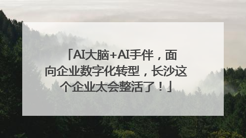 AI大脑+AI手伴，面向企业数字化转型，长沙这个企业太会整活了！