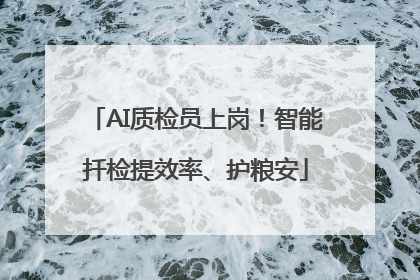 AI质检员上岗！智能扦检提效率、护粮安